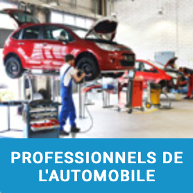 Professionnels de l'automobile